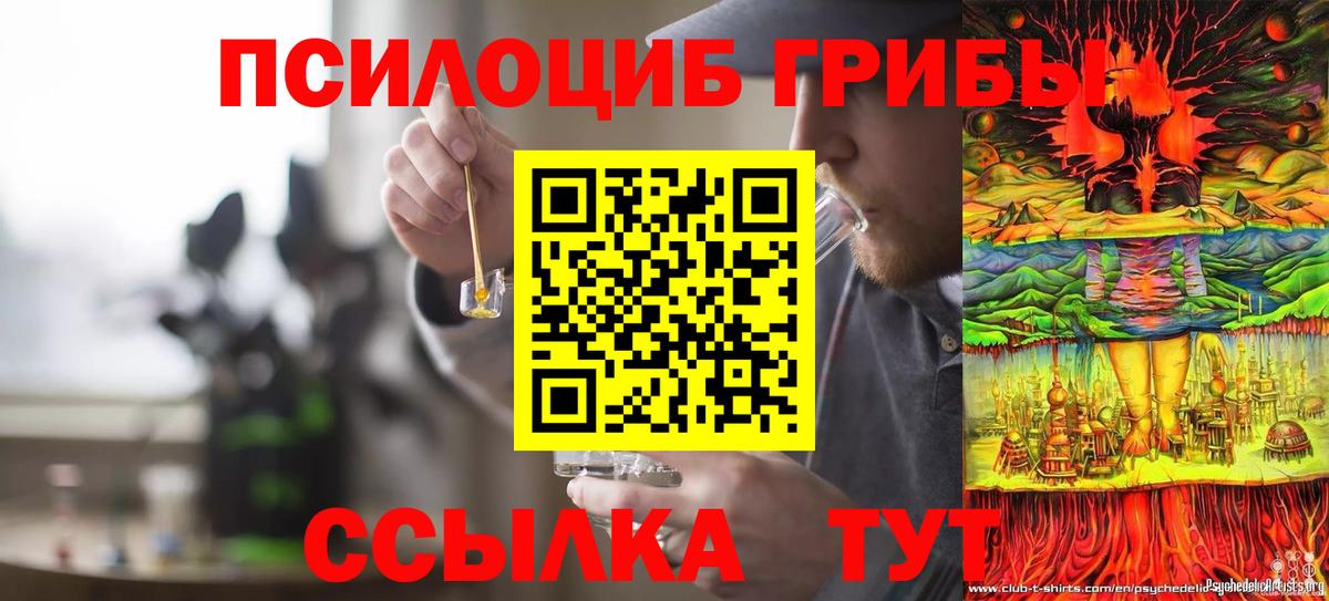 Галлюциногенные грибы Psilocybe Пермь