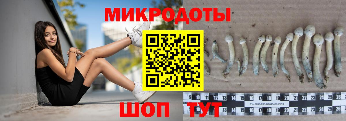 хочу   Псилоцибиновые грибы ЛСД  Вход с VPN  Пермь 